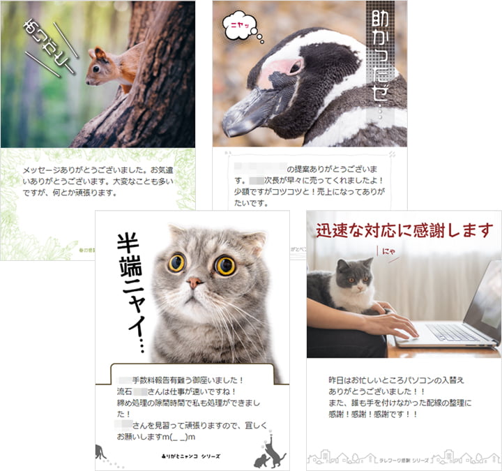 カードのやり取り