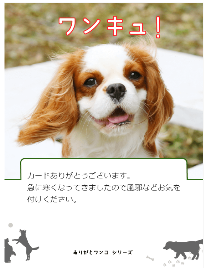 GRATICAカード、株式会社QVCジャパン