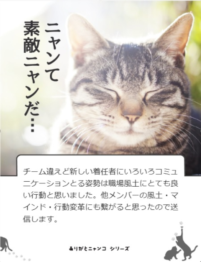 GRATICAカード、トヨタファイナンス株式会社