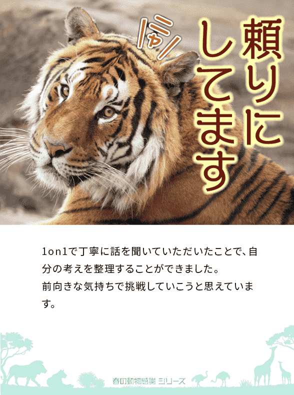 イメージ画像
